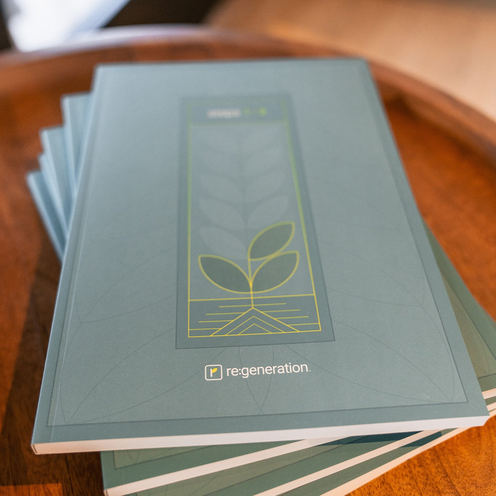 A stack of Re:generation curriculum books